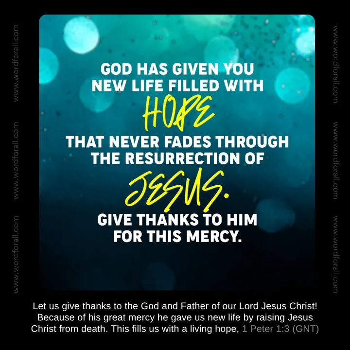God has given you new life filled with hope that never fades through the resurrection of Jesus. Give thanks to Him for this mercy.