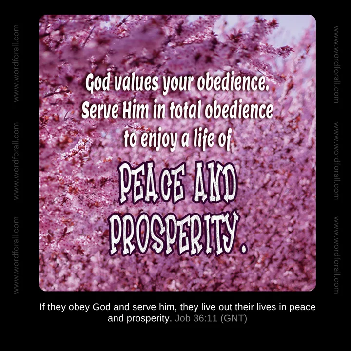 God values your obedience. Serve Him in total obedience to enjoy a life of peace and prosperity.
