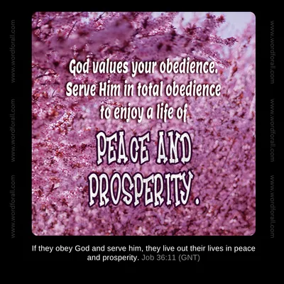 God values your obedience. Serve Him in total obedience to enjoy a life of peace and prosperity.