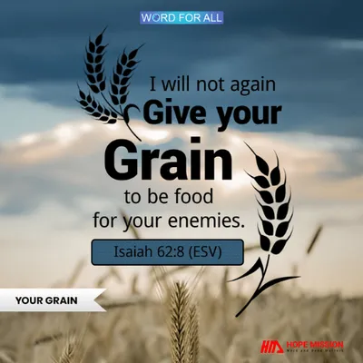 GOD WILL NOT AGAIN GIVE YOUR GRAIN TO BE FOOD FOR YOUR ENEMIES