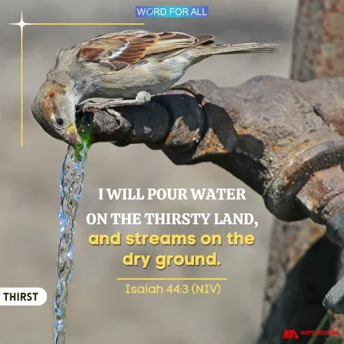 GOD WILL SATISFY YOUR THIRST.