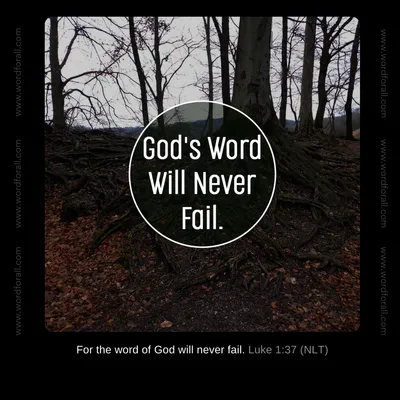 God's Word Will Never Fail