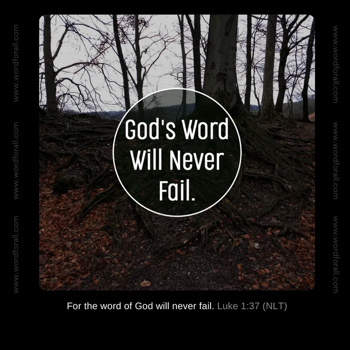 God's Word Will Never Fail