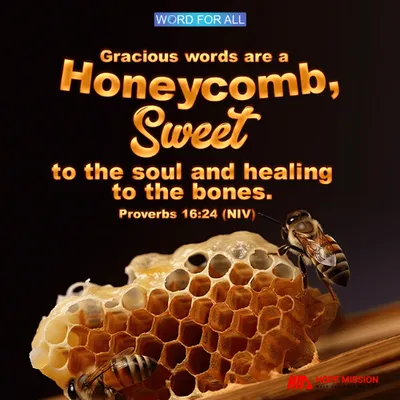 GRACIOUS WORDS ARE A HONEYCOMB, SWEET TO THE SOUL AND HEALING TO THE BONES.