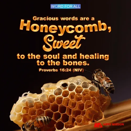 GRACIOUS WORDS ARE A HONEYCOMB, SWEET TO THE SOUL AND HEALING TO THE BONES.