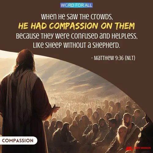 WHEN HE SAW THE CROWDS, HE HAD COMPASSION ON THEM