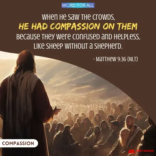 WHEN HE SAW THE CROWDS, HE HAD COMPASSION ON THEM