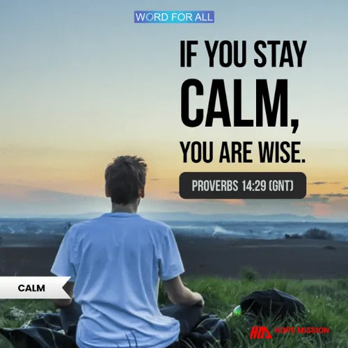 IF YOU STAY CALM, YOU ARE WISE