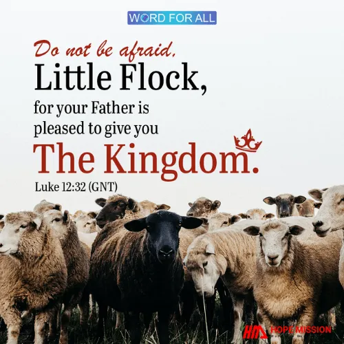 DO NOT BE AFRAID, LITTLE FLOCK, FOR YOUR FATHER IS PLEASED TO GIVE YOU THE KINGDOM.