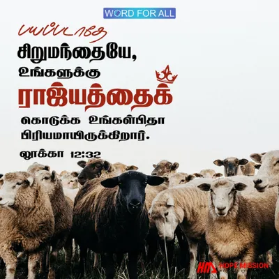 பயப்படாதே சிறுமந்தையே, உங்களுக்கு ராஜ்யத்தைக் கொடுக்க உங்கள்பிதா பிரியமாயிருக்கிறார்.