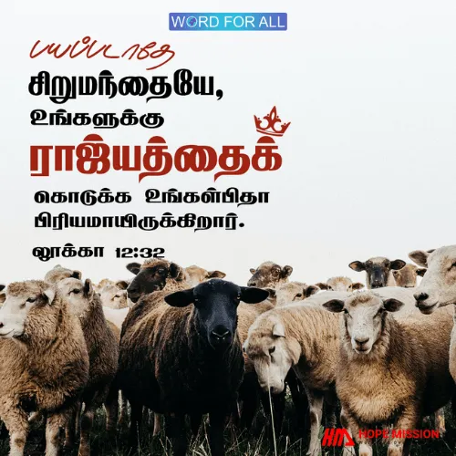 பயப்படாதே சிறுமந்தையே, உங்களுக்கு ராஜ்யத்தைக் கொடுக்க உங்கள்பிதா பிரியமாயிருக்கிறார்.