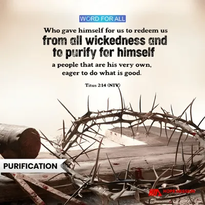 JESUS GAVE HIS LIFE TO PURIFY YOU FOR HIMSELF