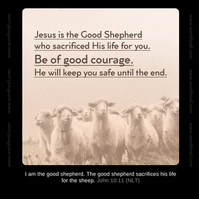 Jesus is the Good Shepherd