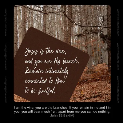 Jesus is the vine, and you are His branch