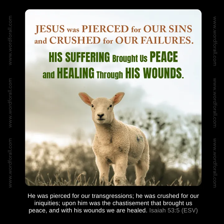 Jesus Was Pierced for Our Sins and Crushed for Our Failures. His Suffering Brought Us Peace and Healing Through His Wounds