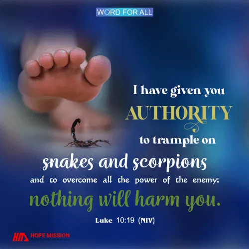 GOD HAS GIVEN YOU AUTHORITY TO OVERCOME ALL THE POWER OF THE ENEMY.