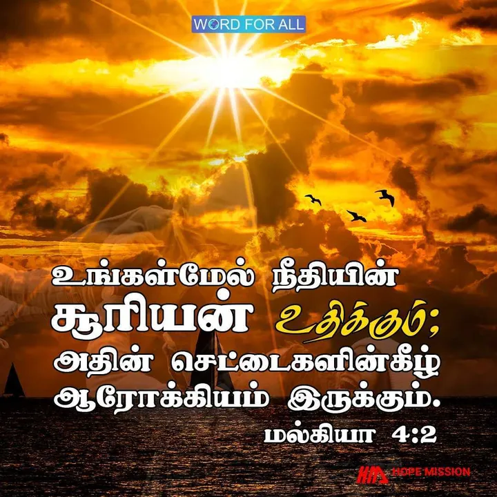 உங்கள்மேல் நீதியின் சூரியன் உதிக்கும்; அதின் செட்டைகளின்கீழ் ஆரோக்கியம் இருக்கும்.