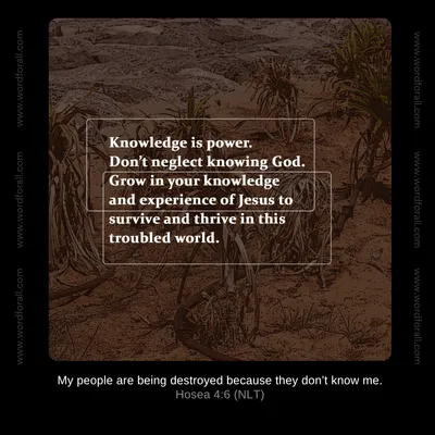 Knowledge is power. Don't neglect knowing God. Grow in your knowledge and experience of Jesus to survive and thrive in this troubled world.