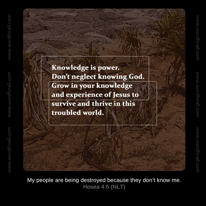 Knowledge is power. Don't neglect knowing God. Grow in your knowledge and experience of Jesus to survive and thrive in this troubled world.
