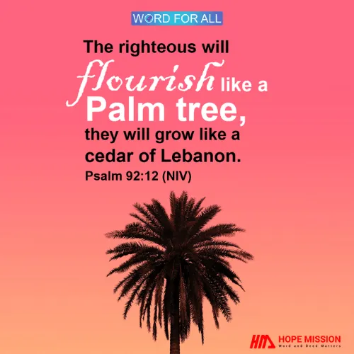 BE RIGHTEOUS. YOU WILL FLOURISH LIKE A PALM TREE.