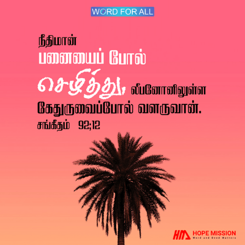 நேர்மையாக இருங்கள். நீங்கள் ஒரு பனை மரம் போல் செழித்து வளருவீர்கள்.