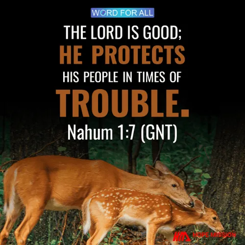 THE LORD IS GOOD; HE PROTECTS HIS PEOPLE IN TIMES OF TROUBLE.
