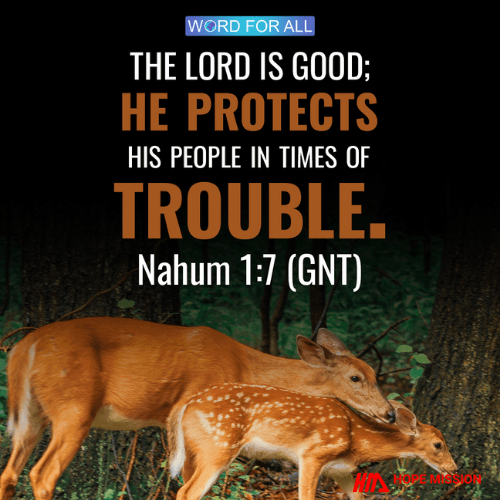 THE LORD IS GOOD; HE PROTECTS HIS PEOPLE IN TIMES OF TROUBLE.