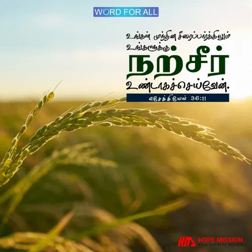 உங்கள் முந்தின சீரைப்பார்க்கிலும் உங்களுக்கு நற்சீர் உண்டாகச்செய்வேன்.