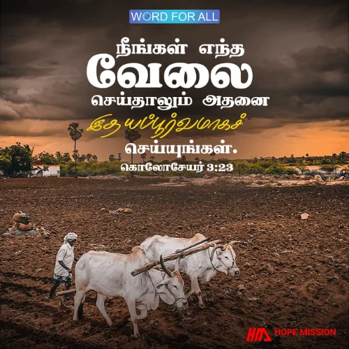 நீங்கள் எந்த வேலை செய்தாலும் அதனை இதயப்பூர்வமாகச் செய்யுங்கள்.