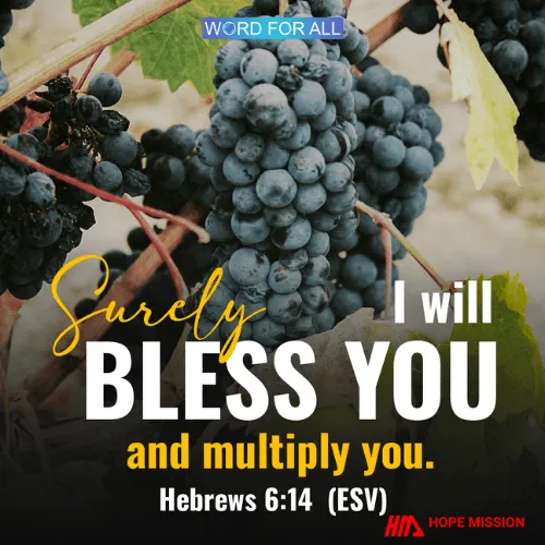 SURELY GOD WILL BLESS YOU AND MULTIPLY YOU.