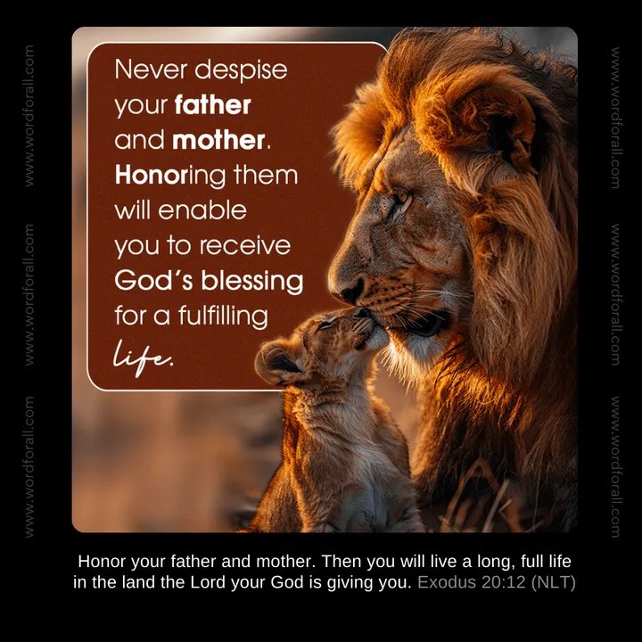Never despise your father and mother
