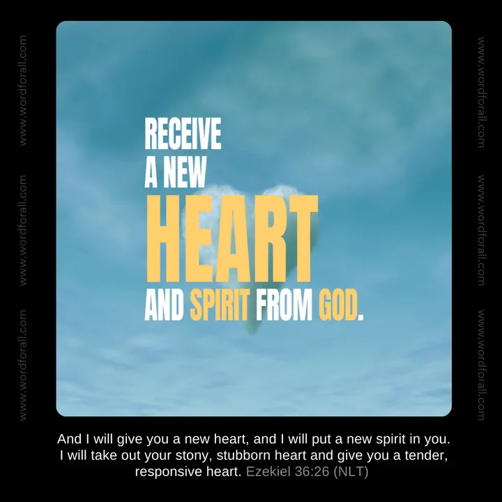 New Heart And Spirit