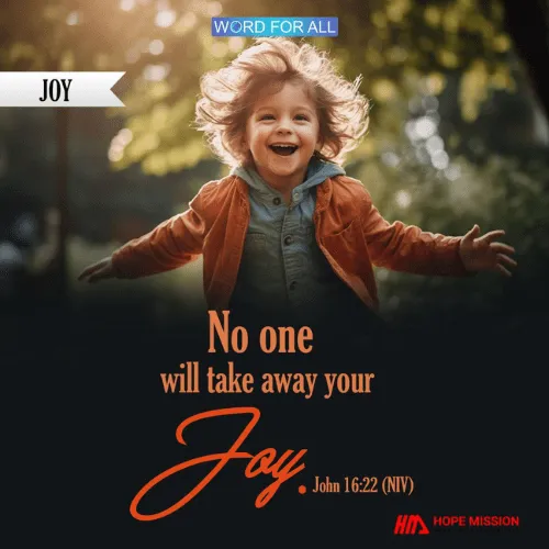 NO ONE WILL TAKE AWAY YOUR JOY.