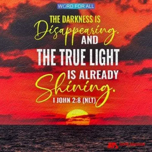THE DARKNESS IS DISAPPEARING, AND THE TRUE LIGHT IS ALREADY SHINING.