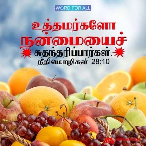 உத்தமர்களோ நன்மையைச் சுதந்தரிப்பார்கள்.