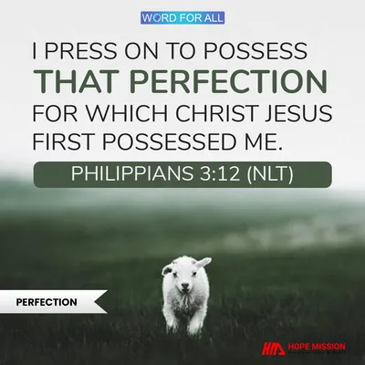 POSSESS THE PERFECTION