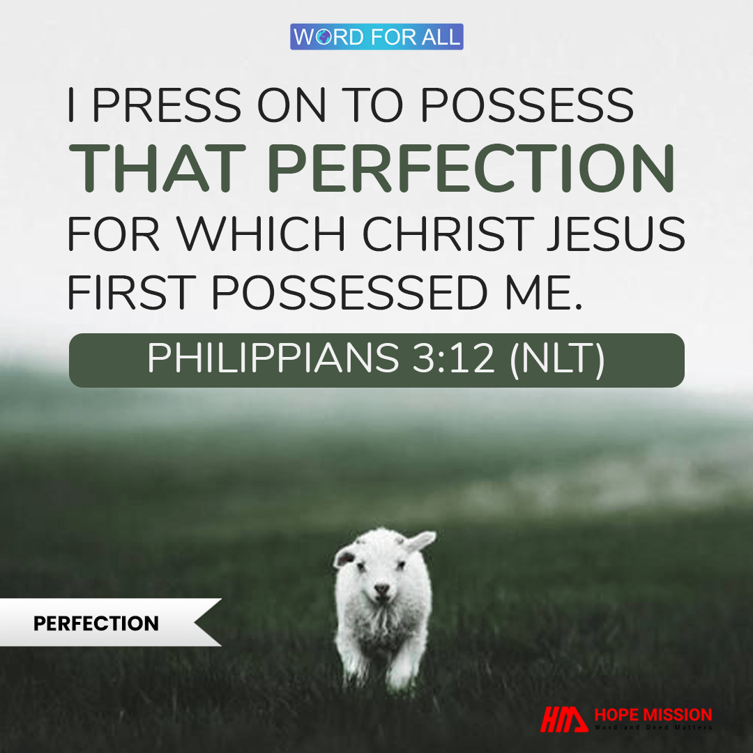 POSSESS THE PERFECTION