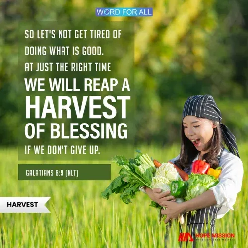 DON'T GIVE UP; AT THE RIGHT TIME, YOU WILL REAP A HARVEST OF BLESSING