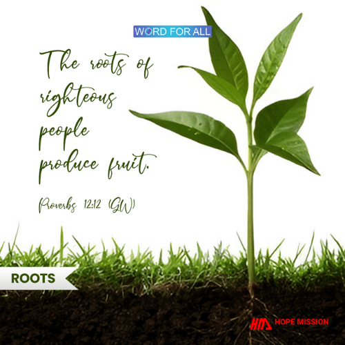 The roots of righteous people produce fruit