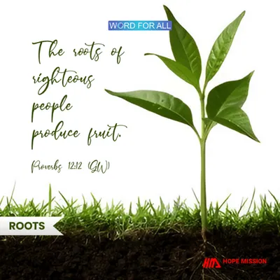 The roots of righteous people produce fruit