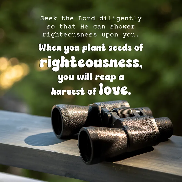 Seek the Lord diligently so that He can shower righteousness upon you. When you plant seeds of righteousness, you will reap a harvest of love.