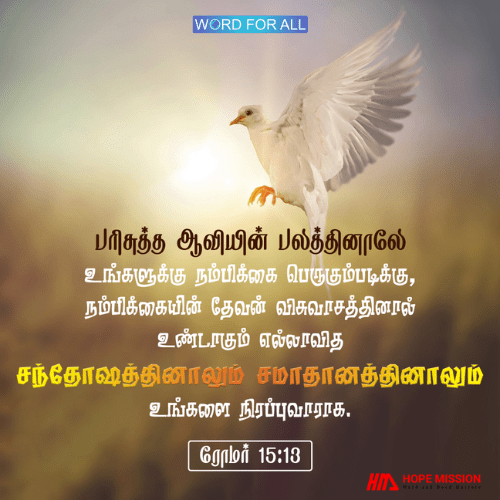 இயேசுவை நம்புங்கள். பரிசுத்த ஆவியின் பலத்தினாலே உங்களுக்கு நம்பிக்கை பெருகும்.