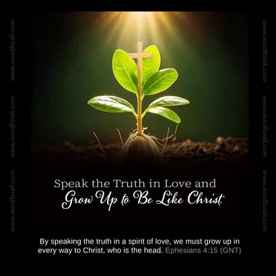 Speak the Truth in Love and Grow Up to Be Like Christ