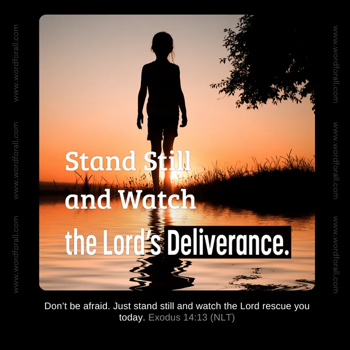 Stand Still and Watch the Lord's Deliverance