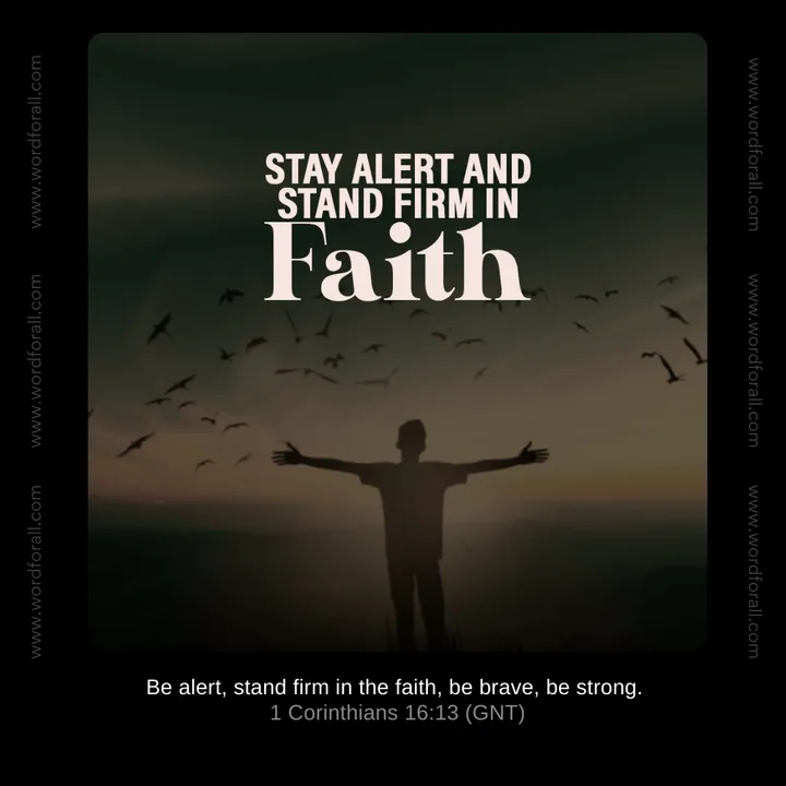 Stay Alert