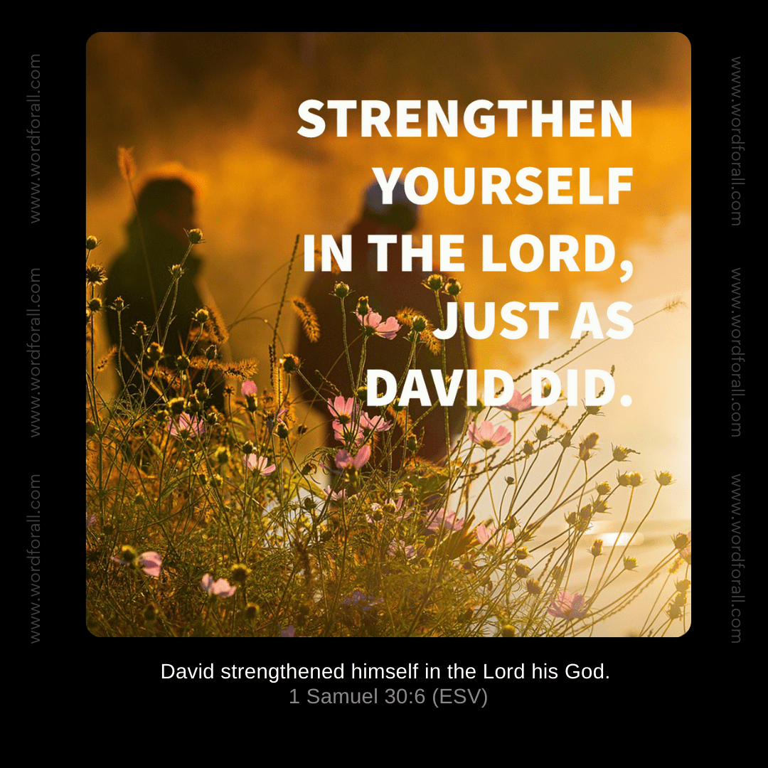 Strengthen Yourself in the Lord, Just as David Did