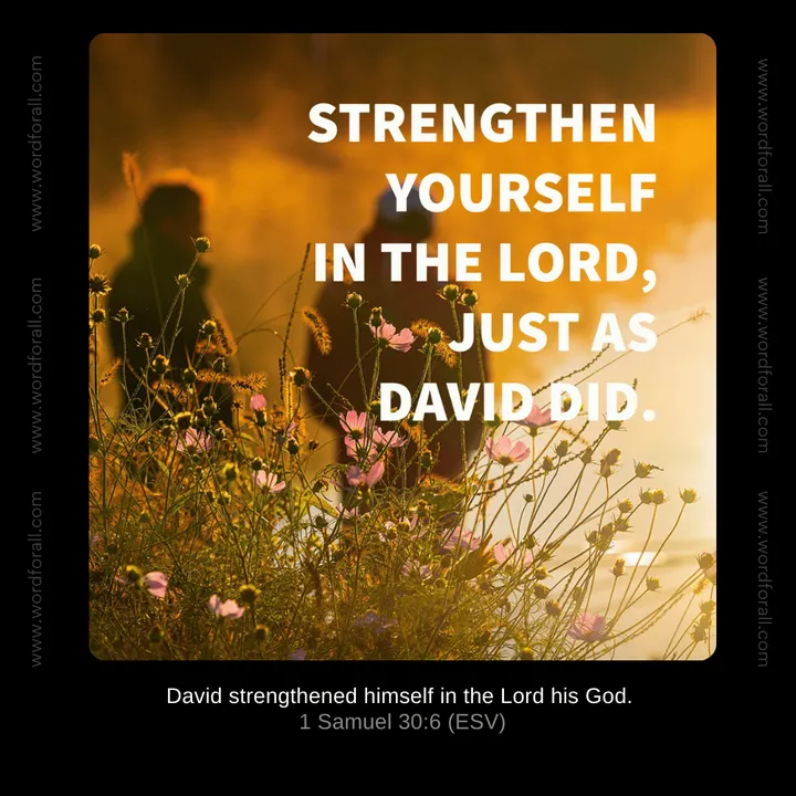 Strengthen Yourself in the Lord, Just as David Did