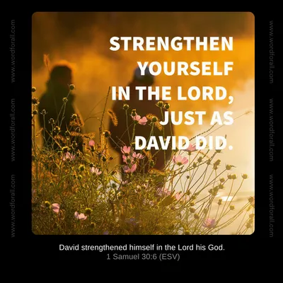 Strengthen Yourself in the Lord, Just as David Did