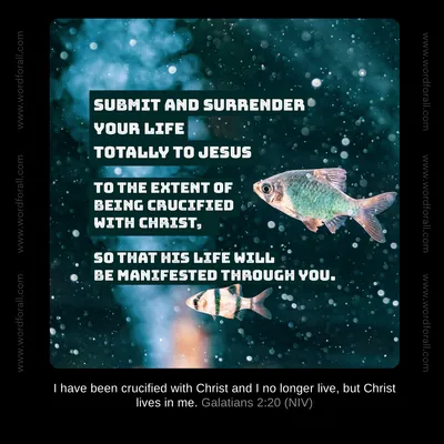 Submit and surrender your life totally to Jesus