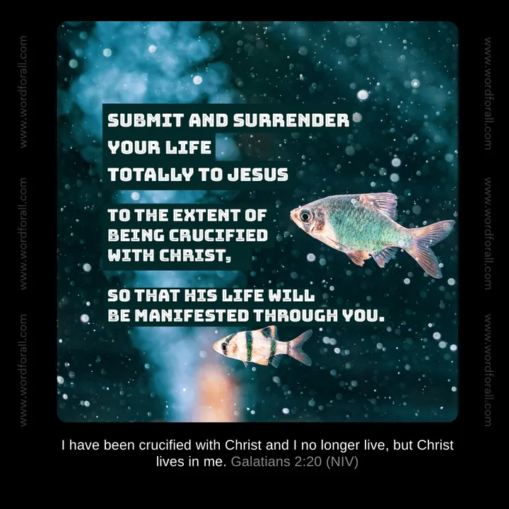 Submit and surrender your life totally to Jesus